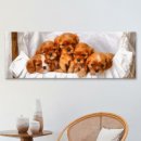 옹기종기 이미지