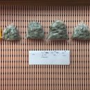 오원석 황금동물병원 이미지