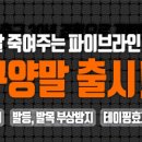 향양리체육공원 축구장 이미지