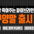 [용병 모집 GK] 남양주 진전읍 부평리 구장 21시 ~ 23시 이미지