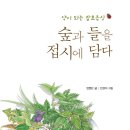 약이 되는 잡초음식 [숲과 들을 접시에 담다] / 변현단 저 이미지