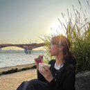 롱 스토리 이미지