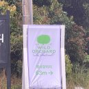 성읍102 이미지