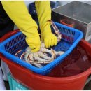 해림대게 이미지