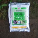 농장 천지인 이미지