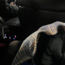 안식축사 | 두번째 수영대회! / 제 4회 성동구청장기 수영대회 후기 / 서대문구 수영 동호회 BBANG / 센티 클리비아...