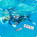 돌고래 | 괌 돌핀크루즈 예약 돌고래 투어 스노클링 후기