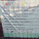 아노덴