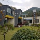 폴링인블루 이미지