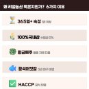 소도몰 - 남동구 서창남순환로 200 | 소도몰