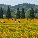 구미강정 이미지