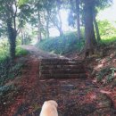 호가정 화장실 이미지