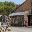 양지로143번길 이미지