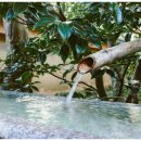 백암온천호텔스파 이미지