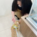 름이상점 이미지