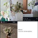 포엠플레르 이미지