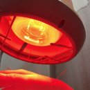 화정인제한의원 이미지