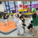 용인대대영태권도 이미지