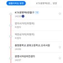 양지-3001 이미지