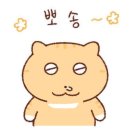 뽀독 이미지