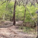 장군산(오리알) 약수터 이미지