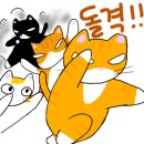 냐옹이네꽃집