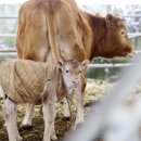 미동농장 이미지