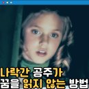 소공녀 영화 후기 결말 줄거리 정보 출연진, 알폰소 쿠아론 감독 (A Little Princess, 1995)