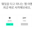 웨일디자인 이미지