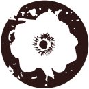 새꽃수족관since1967 | 탄산 센 탄산수, 싱하 탄산수 추천 리뷰