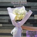 이오니플라워 | 강남구청역 꽃집 | 24시간 꽃 픽업 가능한 꽃집 이오니 플라워 꽃다발
