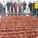 토함산 민박 이미지