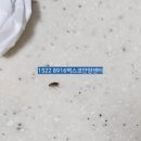 벅스코안양센터