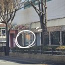 털뭉탱이 | 구리애견미용학원 아마존애견미용학원 후기 구리 셀프애견미용 원데이 클래스 체험