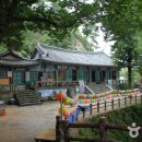 부여군 고란약수 이미지