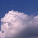 천안본가장어 이미지