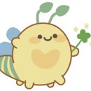 봉글봉글 이미지