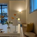 밀러밀리 이미지