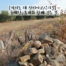 [카미노 데 산티아고, 은의길] 둘째날, 구일레나 ~까스틸블랑코 데 로스 아로요스 : 토끼와 함께 걷는 길. 이미지