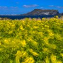 pc cafe 올레 이미지