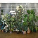 산수로 | 경기 광주 팔당 뷰 맛집 언더스탠드 카페 방문 후기