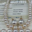 조은수입 | 실망하신 회원님이 경남 사천에서 비대면 첫거래로 조은진주 구입하신 아코야 7-7.5미리와 남양 11미리...