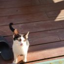 별빛가람 이미지