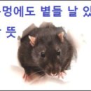 볕들 이미지