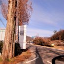 화순축산업협동조합(도곡생축장) | [전남화순카페]드디어 가봤다/단체모임가능한/배려가 넘쳐나는/한옥카페모다