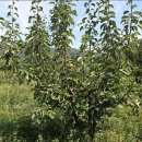 원산농장 이미지