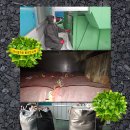 케이씨이엔지 이미지
