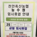 능수정 이미지