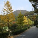 대운산자연휴양림 이미지