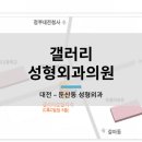 갤러리성형외과의원 이미지